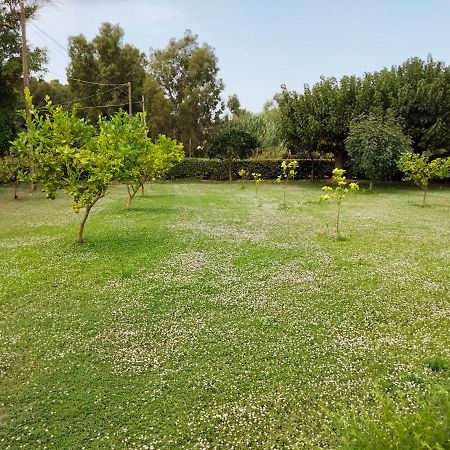 Agriturismo I Doni Del Mandorlo Alghero Kültér fotó