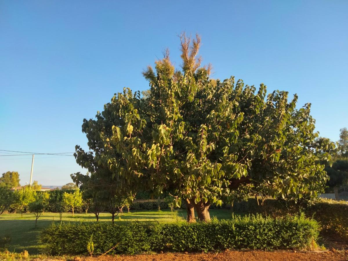 Agriturismo I Doni Del Mandorlo Alghero Kültér fotó