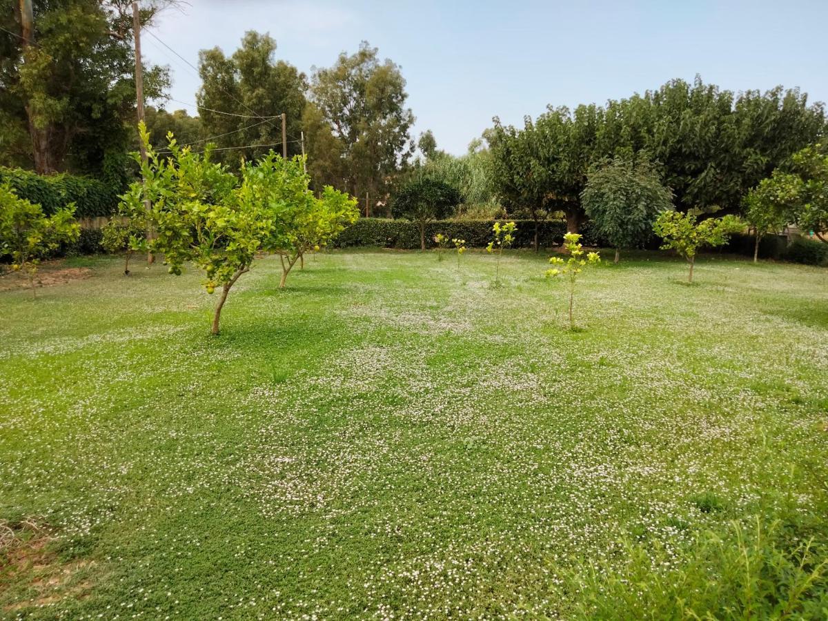 Agriturismo I Doni Del Mandorlo Alghero Kültér fotó