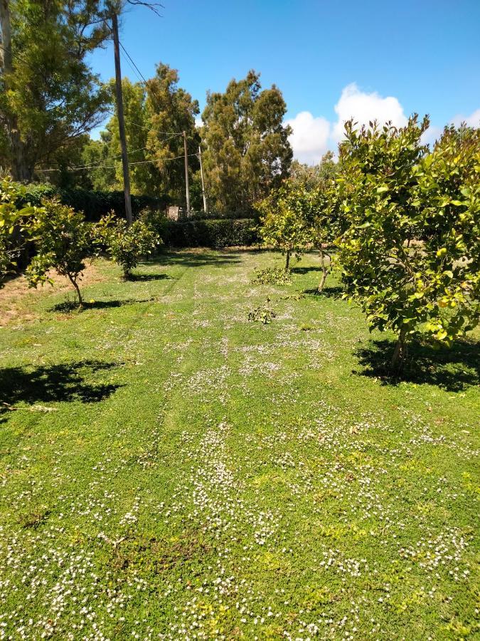 Agriturismo I Doni Del Mandorlo Alghero Kültér fotó